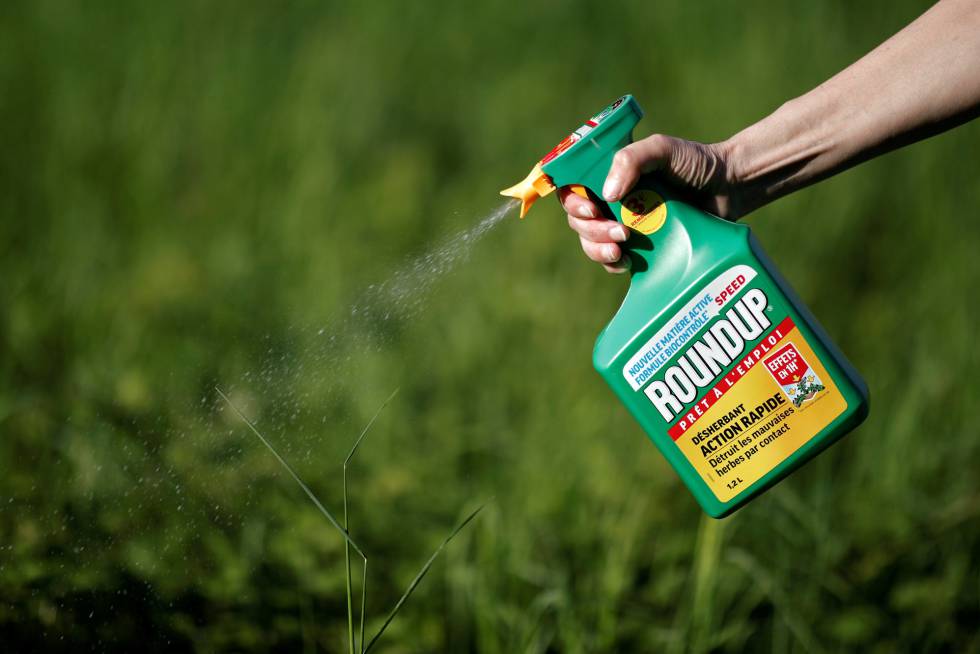Polémico fallo determina que Monsanto pagará una indemnización reducida por los efectos mortales de su herbicida